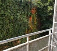 Pronájem bytu Praha