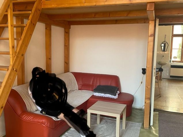 Spolubydlení Plzeň