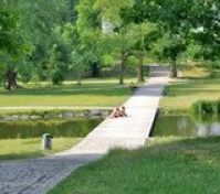 Huge park 8 minutes walking