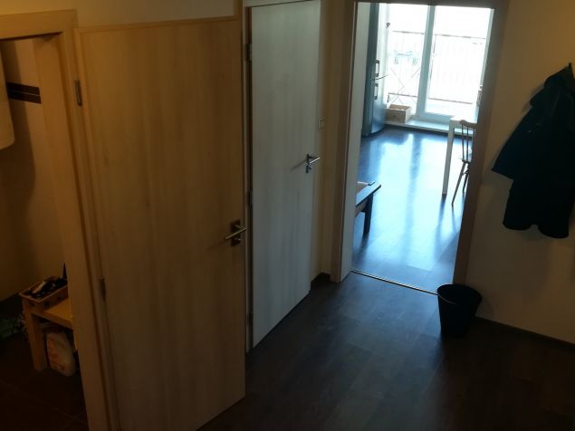 Spolubydlení Brno