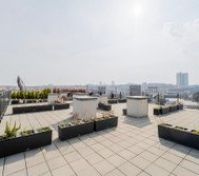 Building's Rooftop