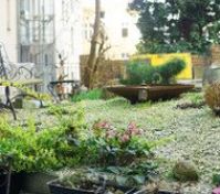 Landscaped garden with seating area