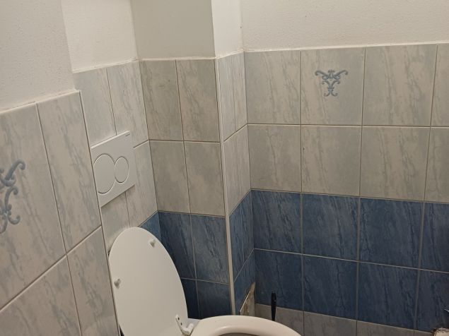 Spolubydlení Olomouc