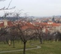 Pronájem bytu Praha