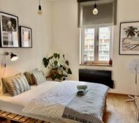 Pallet bed bedroom with window plants