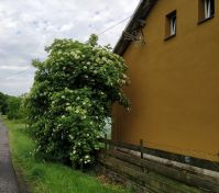 Pronájem bytu Ostrava