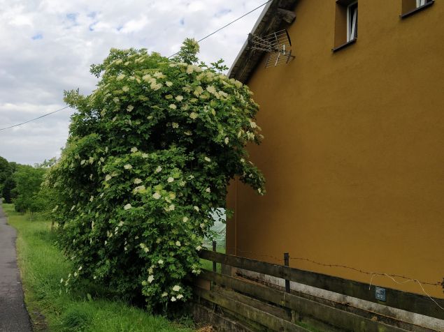 Pronájem bytu Ostrava