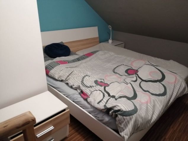 Spolubydlení Plzeň