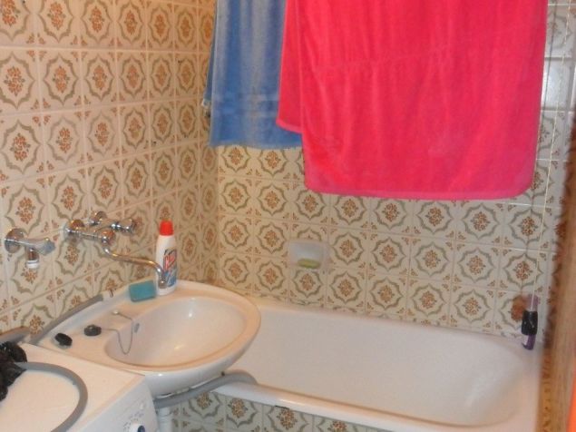 Spolubydlení Pardubice