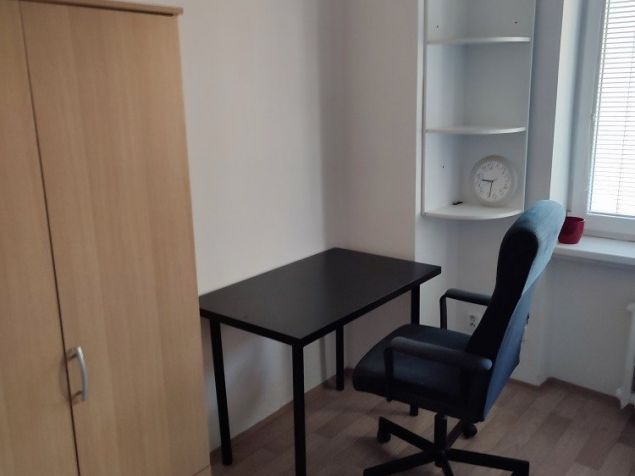 Spolubydlení Brno