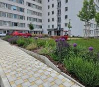 Pronájem bytu Praha