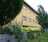 Přístupová cesta zelení