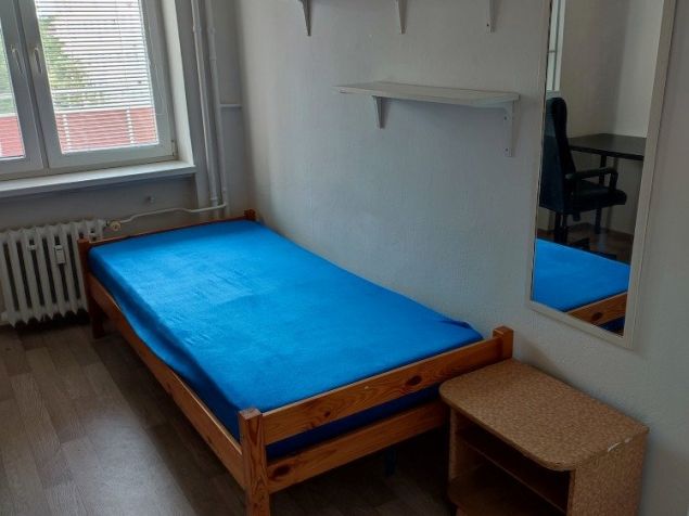 Spolubydlení Brno