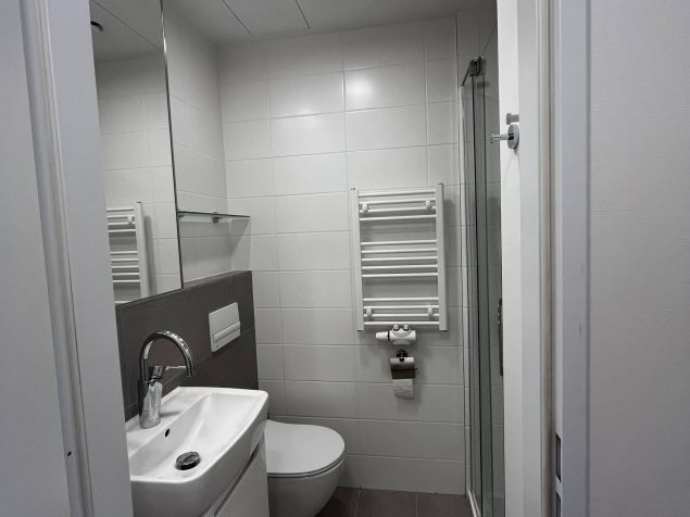 centrální vytápění, ale možnost nastavení teploty na žebříku v koupelně
