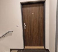 Security door