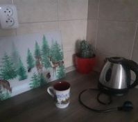 Pronájem bytu Praha