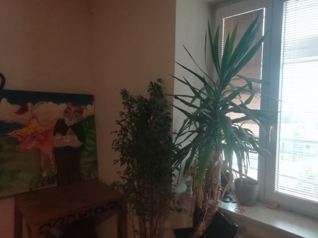 Pronájem pokoje Brno