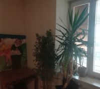 Pronájem pokoje Brno