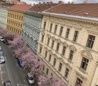 Pronájem pokoje Brno