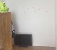 Spolubydlení Praha