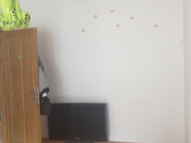 Spolubydlení Praha