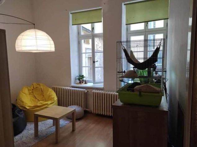 Pronájem pokoje Praha