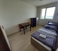 Pronájem bytu Plzeň