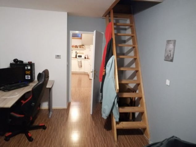Spolubydlení Plzeň