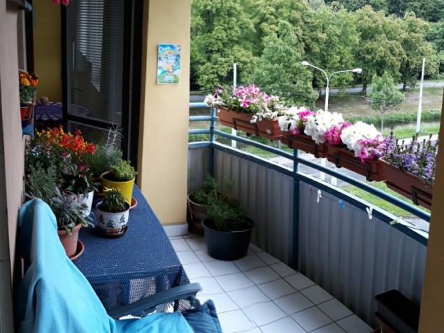 Pronájem pokoje Zlín