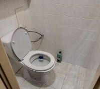 WC do světlíku