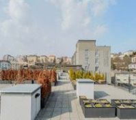 Building's Rooftop
