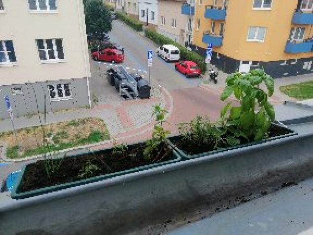 výhled