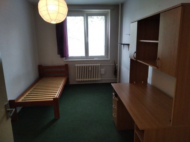 Pronájem bytu Brno
