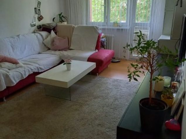 Pronájem bytu Ostrava