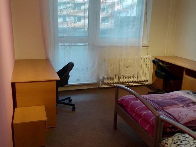 Pronájem bytu Brno