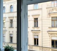 Window view of historic buildings