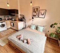 Studio bed kitchen open layout