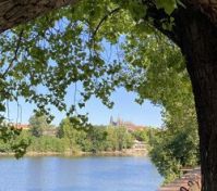 Pronájem bytu Praha