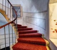 stairs of the building