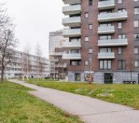 Building's Courtyard