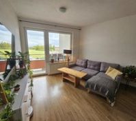 Living room with sofa and view
