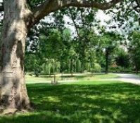 přilehlý park