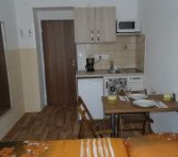 kuchyňská linka,  lednice, indukční sporák, mikrovlnka, toustovač, kávovar ve vašem pokoji :-)