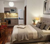 Bedroom with kitchenette and dining area