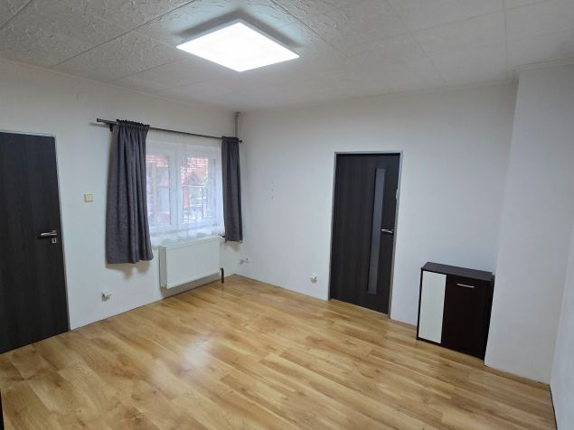 Pronájem domu Tursko