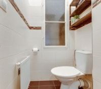 toilet