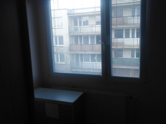 Spolubydlení Říčany