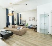 Living room image 4