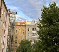 Innere courtyard with garden