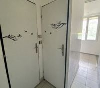 Pronájem bytu Praha